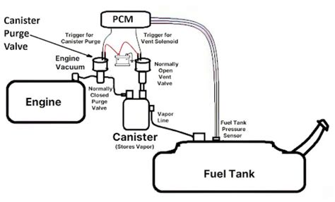 evaporative canister purge solenoid|Evap Canister Purge Valve Location Guide & More